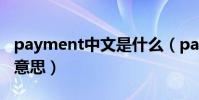 payment中文是什么(payment中文是什么意思)