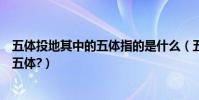 五體投地其中的五體指的是什么(五體投地的五體是指的哪五體?)