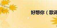 好想你(歌詞)