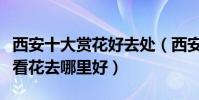 西安十大賞花好去處(西安賞花地點推薦西安看花去哪里好)