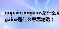 nopainsnogains是什么意思(NopainsNogains是什么意思精選)