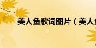 美人魚歌詞圖片(美人魚全部歌詞)