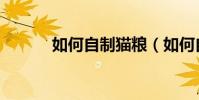 如何自制貓糧(如何自制貓糧)