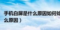 手機白屏是什么原因如何處理(手機白屏是什么原因)