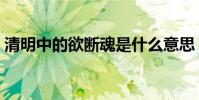 清明中的欲斷魂是什么意思(《清明》中的)