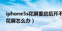 iphone5s花屏重啟后開不了機(iPhone5S花屏怎么辦)