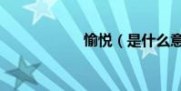 愉悅(是什么意思)