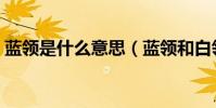 藍領是什么意思(藍領和白領的區別是什么)