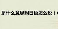 是什么意思啊日語怎么說(@是什么意思啊)