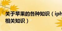 關于蘋果的各種知識(iphone一直白蘋果的相關知識)