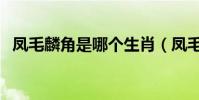 鳳毛麟角是哪個生肖(鳳毛麟角是什意思)
