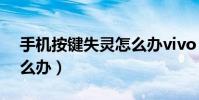 手機按鍵失靈怎么辦vivo(手機按鍵失靈怎么辦)