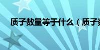 質子數量等于什么(質子數都等于什么)