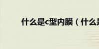 什么是c型內膜(什么是C型人格)