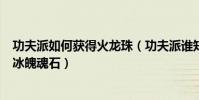 功夫派如何獲得火龍珠(功夫派誰知道要打多少次才能得到冰魄魂石)