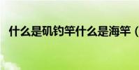 什么是磯釣竿什么是海竿(什么是磯釣竿)
