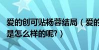 愛的創可貼楊蓉結局(愛的創可貼最后的結局是怎么樣的呢?)