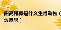 曲高和寡是什么生肖動物(“曲高和寡”是什么意思)
