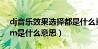 dj音樂效果選擇都是什么意思(dj舞曲中edm是什么意思)