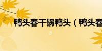 鴨頭春干鍋鴨頭(鴨頭春水濃如——)
