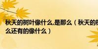 秋天的樹葉像什么,是那么(秋天的樹葉有的像什么有的像什么還有的像什么)