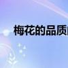 梅花的品質的詩句（梅花的品質有哪些）