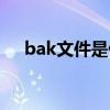 bak文件是什么（bak文件是什么文件）