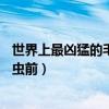 世界上最兇猛的毛毛蟲前10名（盤點世界十大最兇猛的毛毛蟲前）