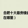合肥十大最貴樓盤（合肥最貴的小區排名合肥十大土豪小區在哪里）