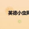 英德小蟲網（關于英德小蟲網的介紹）
