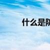 什么是防塵漆（防塵漆如何施工）
