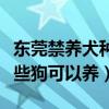 東莞禁養犬種名單（東莞不能養什么狗東莞哪些狗可以養）