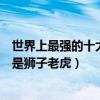 世界上最強的十大猛獸（十大猛獸真實戰斗力排行第一名不是獅子老虎）
