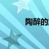 陶醉的意思解釋（陶醉的意思）