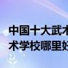 中國十大武術培訓機構（武術培訓班有哪些武術學校哪里好）