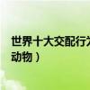 世界十大交配行為奇特的動物盤點（全球十大性行為奇特的動物）