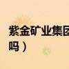 紫金礦業集團是央企嗎（紫金礦業集團是國企嗎）
