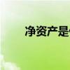 凈資產是什么意思啊（怎么算它啊）