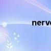 nerve（關于nerve的介紹）