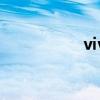 vivox60（VI是什么）