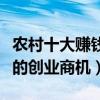農村十大賺錢好項目（農村都有哪些不可錯過的創業商機）