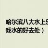 哈爾濱八大水上樂園（哈爾濱水上世界哪里好玩哈爾濱玩水戲水的好去處）