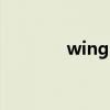 wings（關于wings的介紹）