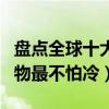 盤點全球十大最不怕冷的動物（世界上哪種動物最不怕冷）