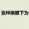 張梓琳腋下為什么現疤痕(整容或隆胸所致)