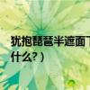 猶抱琵琶半遮面下一句網絡用詞（猶抱琵琶半遮面下一句是什么?）