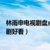 林雨申電視劇盤點（林雨申主演的電視劇林雨申的哪部電視劇好看）
