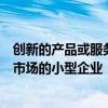 創新的產品或服務理念但需要進行額外的研發才能將其推向市場的小型企業