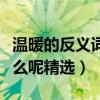溫暖的反義詞是什么字呢（溫暖的反義詞是什么呢精選）
