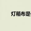 燈箱布是什么（燈箱布是什么材質）